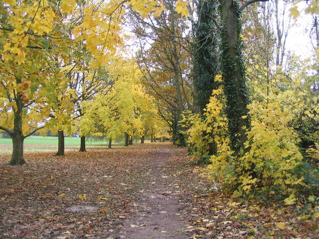 Hearsall Common